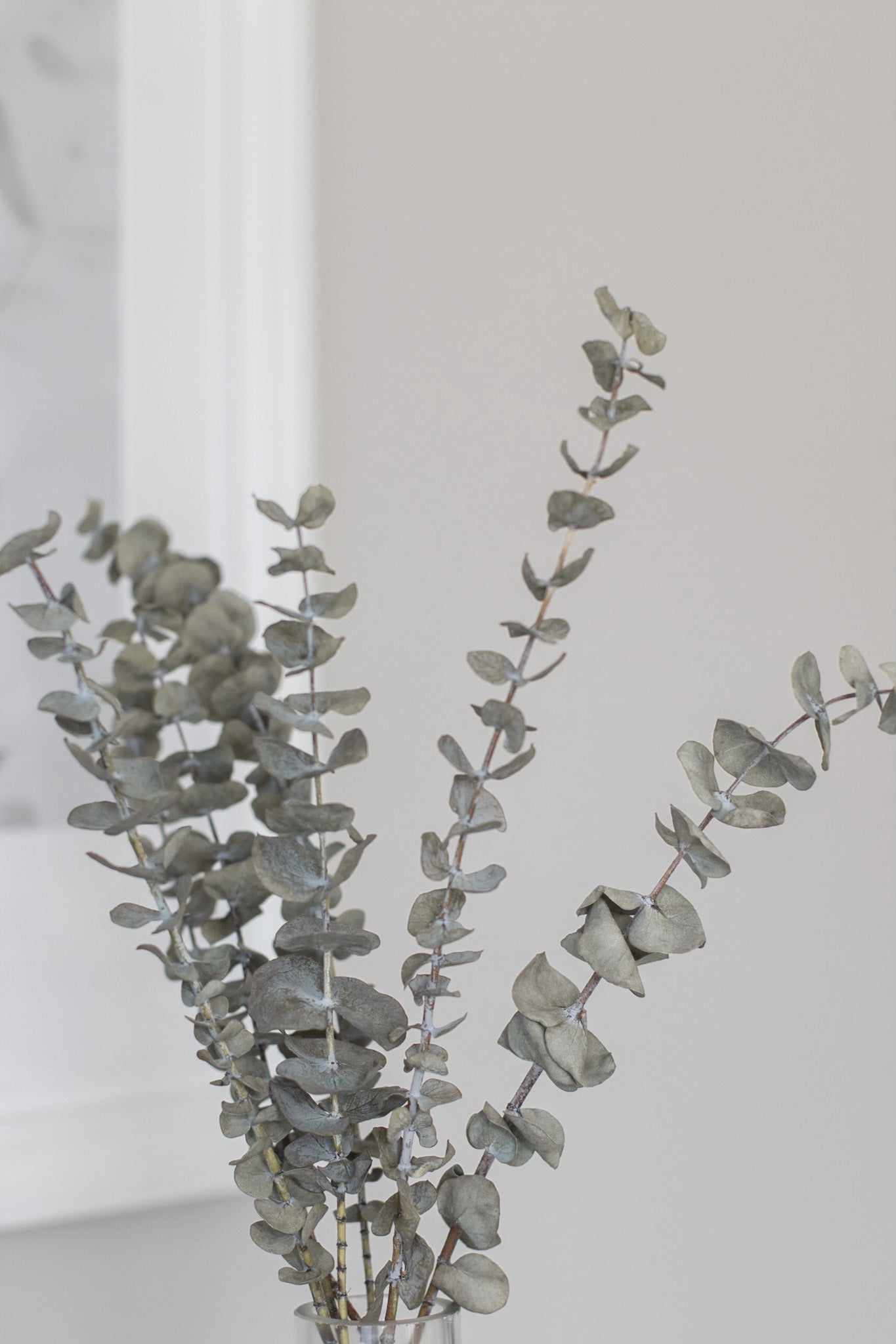 Bouquet d'eucalyptus - Boutique Lovli