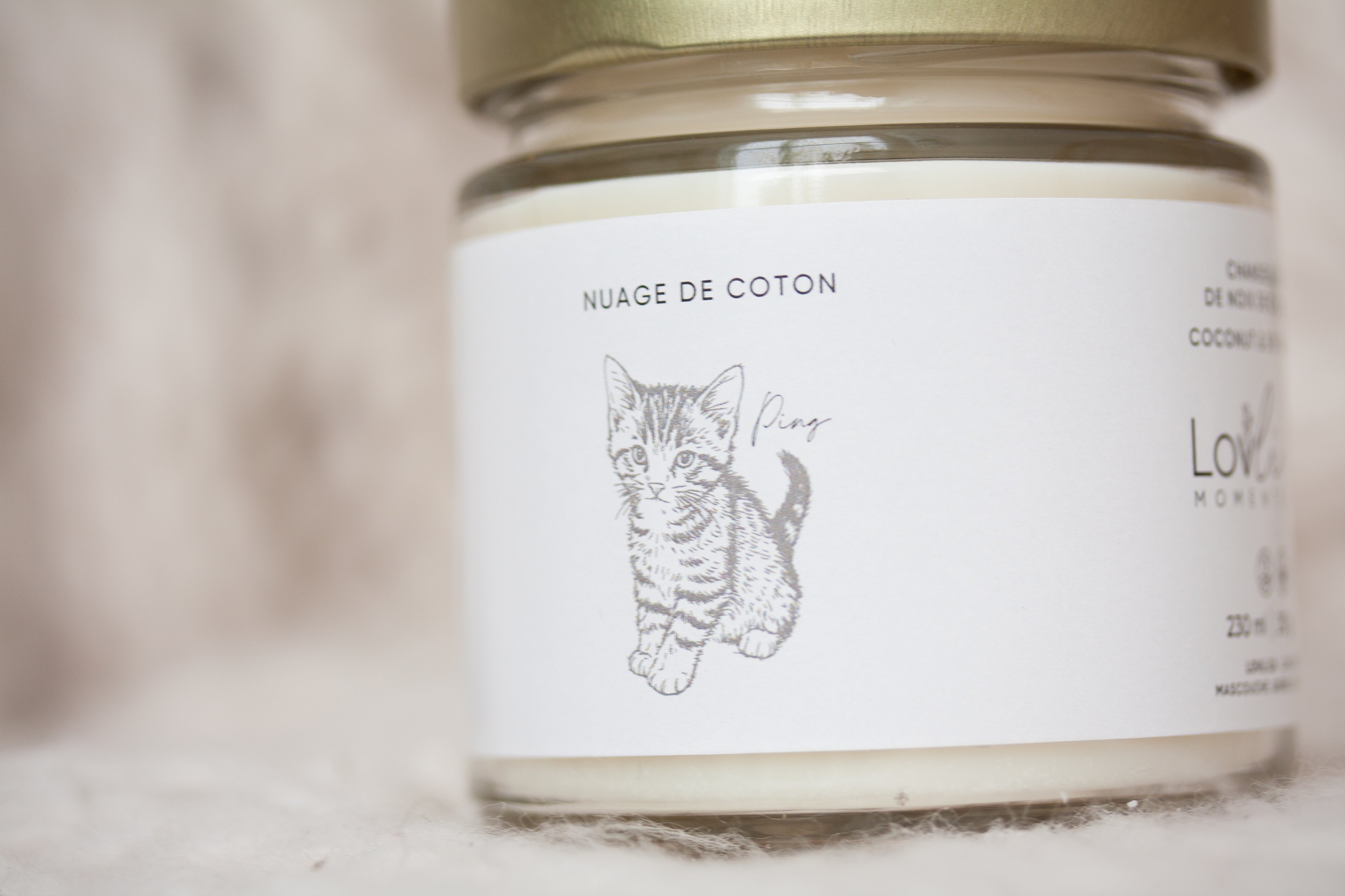 Chandelle Ping- Mission Mayday