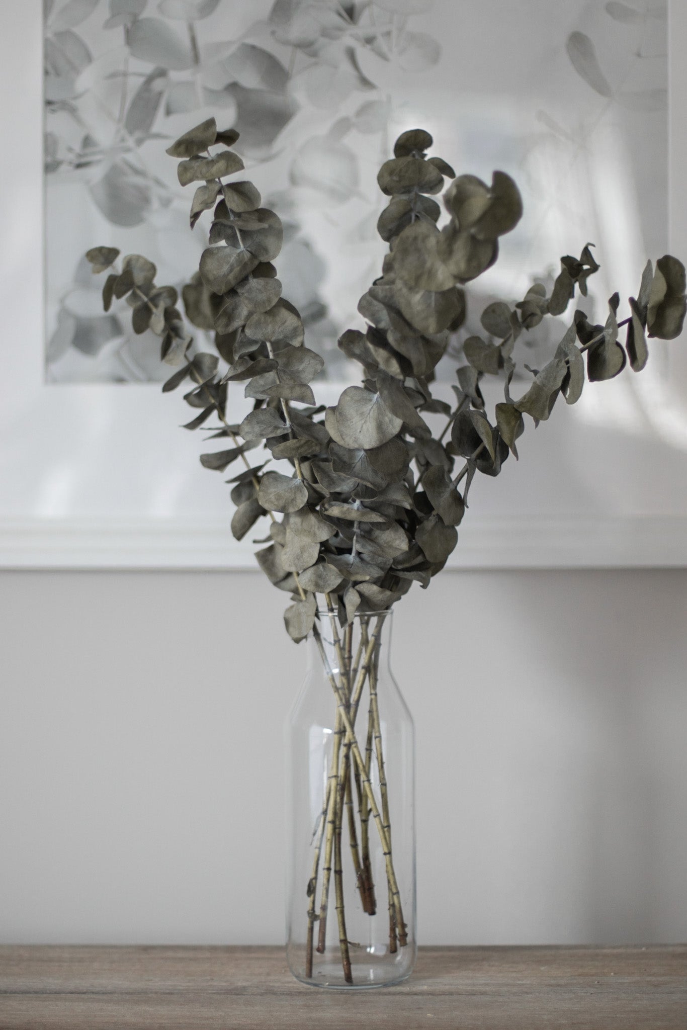 Bouquet d'eucalyptus Cinerea