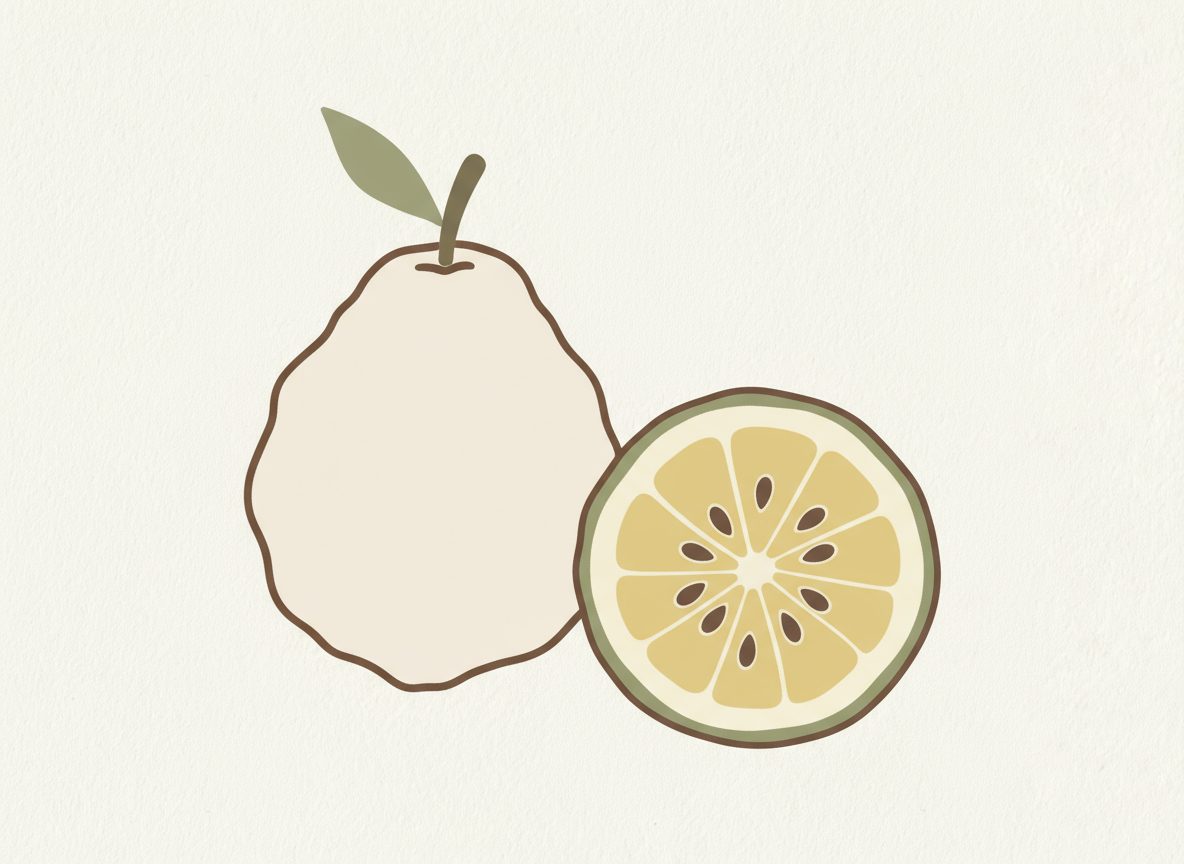 Fragrance naturelle bergamote - Boutique Lovli