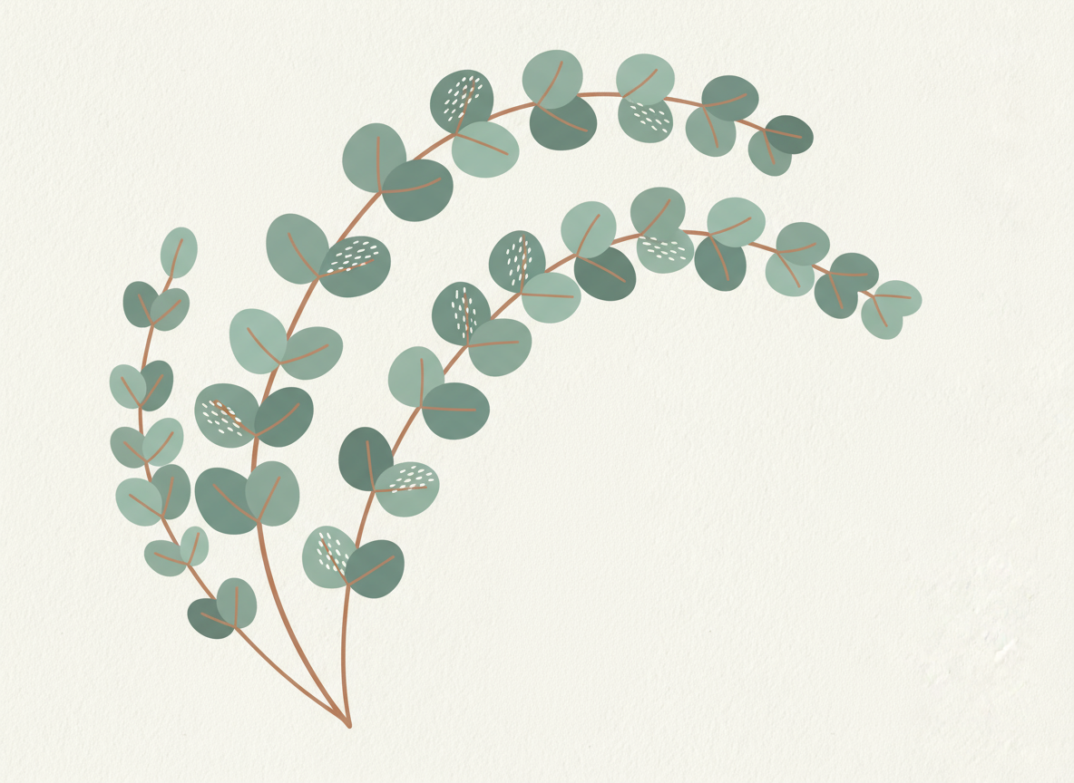 Huile essentielle d'Eucalyptus - Boutique Lovli