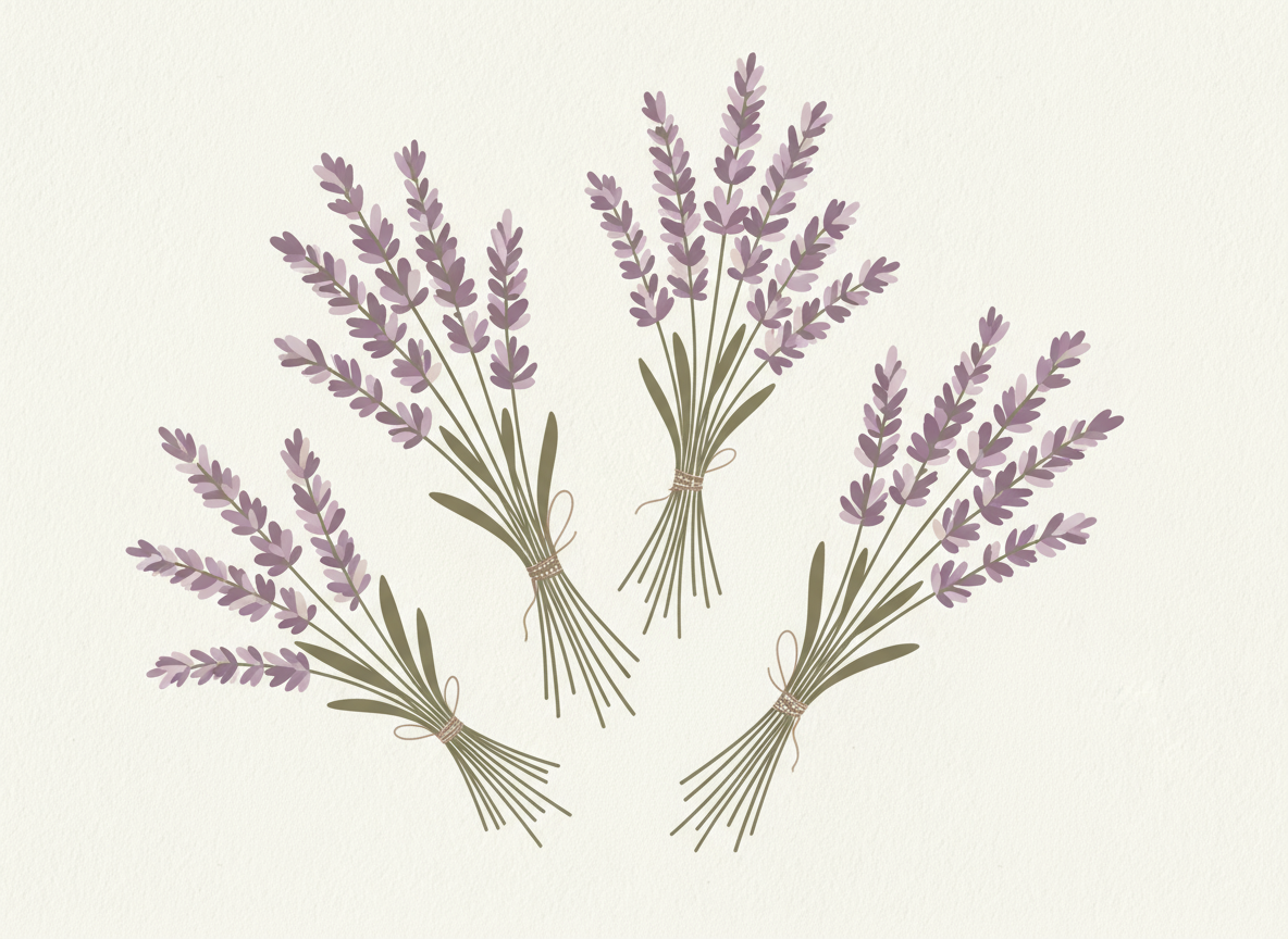 Fragrance Lavande - Boutique Lovli