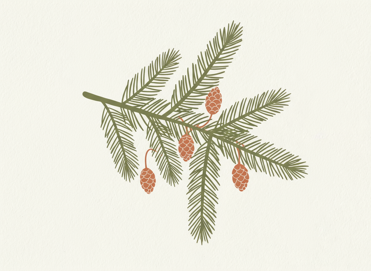 Fragrance naturelle sapin - Boutique Lovli